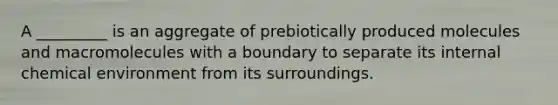 A _________ is an aggregate of prebiotically produced molecules and macromolecules with a boundary to separate its internal chemical environment from its surroundings.