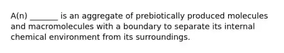 A(n) _______ is an aggregate of prebiotically produced molecules and macromolecules with a boundary to separate its internal chemical environment from its surroundings.