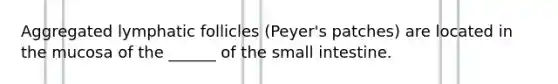 Aggregated lymphatic follicles (Peyer's patches) are located in the mucosa of the ______ of <a href='https://www.questionai.com/knowledge/kt623fh5xn-the-small-intestine' class='anchor-knowledge'>the small intestine</a>.