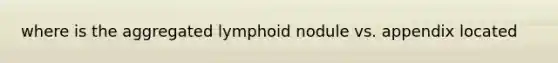 where is the aggregated lymphoid nodule vs. appendix located