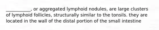 ___________, or aggregated lymphoid nodules, are large clusters of lymphoid follicles, structurally similar to the tonsils. they are located in the wall of the distal portion of the small intestine