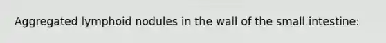 Aggregated lymphoid nodules in the wall of the small intestine:
