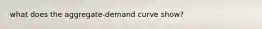 what does the aggregate-demand curve show?