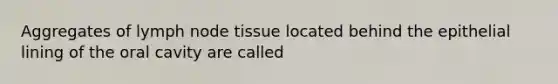 Aggregates of lymph node tissue located behind the epithelial lining of the oral cavity are called