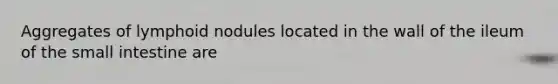 Aggregates of lymphoid nodules located in the wall of the ileum of <a href='https://www.questionai.com/knowledge/kt623fh5xn-the-small-intestine' class='anchor-knowledge'>the small intestine</a> are