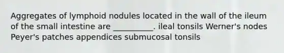 Aggregates of lymphoid nodules located in the wall of the ileum of <a href='https://www.questionai.com/knowledge/kt623fh5xn-the-small-intestine' class='anchor-knowledge'>the small intestine</a> are __________. ileal tonsils Werner's nodes Peyer's patches appendices submucosal tonsils