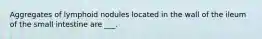 Aggregates of lymphoid nodules located in the wall of the ileum of the small intestine are ___.