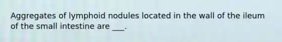 Aggregates of lymphoid nodules located in the wall of the ileum of the small intestine are ___.
