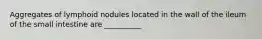 Aggregates of lymphoid nodules located in the wall of the ileum of the small intestine are __________