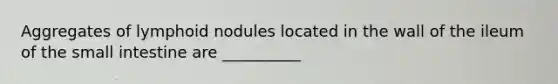 Aggregates of lymphoid nodules located in the wall of the ileum of <a href='https://www.questionai.com/knowledge/kt623fh5xn-the-small-intestine' class='anchor-knowledge'>the small intestine</a> are __________