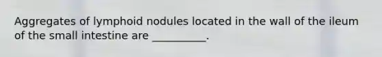 Aggregates of lymphoid nodules located in the wall of the ileum of <a href='https://www.questionai.com/knowledge/kt623fh5xn-the-small-intestine' class='anchor-knowledge'>the small intestine</a> are __________.
