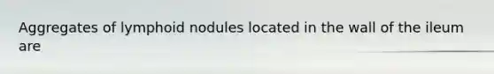 Aggregates of lymphoid nodules located in the wall of the ileum are