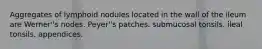 Aggregates of lymphoid nodules located in the wall of the ileum are Werner''s nodes. Peyer''s patches. submucosal tonsils. ileal tonsils. appendices.