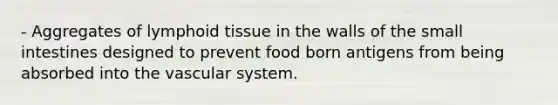 - Aggregates of lymphoid tissue in the walls of the small intestines designed to prevent food born antigens from being absorbed into the vascular system.