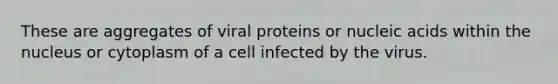 These are aggregates of viral proteins or nucleic acids within the nucleus or cytoplasm of a cell infected by the virus.