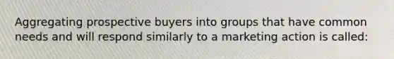 Aggregating prospective buyers into groups that have common needs and will respond similarly to a marketing action is called: