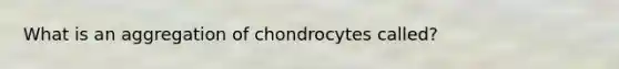 What is an aggregation of chondrocytes called?