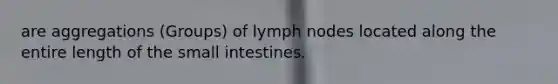 are aggregations (Groups) of lymph nodes located along the entire length of the small intestines.