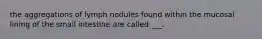 the aggregations of lymph nodules found within the mucosal lining of the small intestine are called ___.
