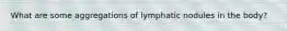 What are some aggregations of lymphatic nodules in the body?