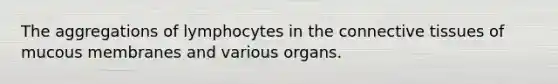 The aggregations of lymphocytes in the connective tissues of mucous membranes and various organs.