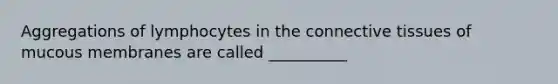 Aggregations of lymphocytes in the connective tissues of mucous membranes are called __________