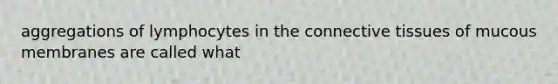 aggregations of lymphocytes in the connective tissues of mucous membranes are called what