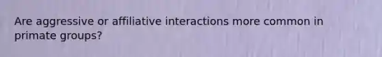 Are aggressive or affiliative interactions more common in primate groups?