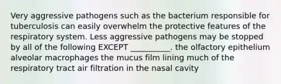 Very aggressive pathogens such as the bacterium responsible for tuberculosis can easily overwhelm the protective features of the respiratory system. Less aggressive pathogens may be stopped by all of the following EXCEPT __________. the olfactory epithelium alveolar macrophages the mucus film lining much of the respiratory tract air filtration in the nasal cavity