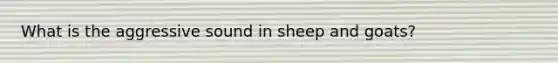 What is the aggressive sound in sheep and goats?