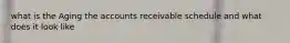 what is the Aging the accounts receivable schedule and what does it look like