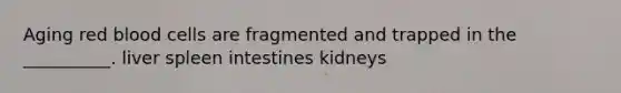 Aging red blood cells are fragmented and trapped in the __________. liver spleen intestines kidneys