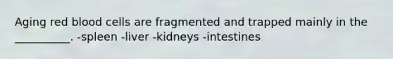 Aging red blood cells are fragmented and trapped mainly in the __________. -spleen -liver -kidneys -intestines