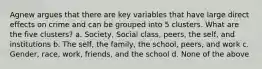 Agnew argues that there are key variables that have large direct effects on crime and can be grouped into 5 clusters. What are the five clusters? a. Society, Social class, peers, the self, and institutions b. The self, the family, the school, peers, and work c. Gender, race, work, friends, and the school d. None of the above