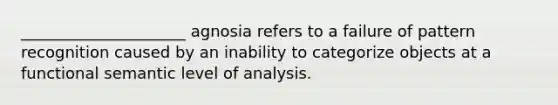 _____________________ agnosia refers to a failure of pattern recognition caused by an inability to categorize objects at a functional semantic level of analysis.