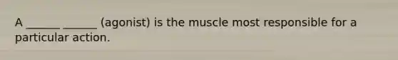 A ______ ______ (agonist) is the muscle most responsible for a particular action.