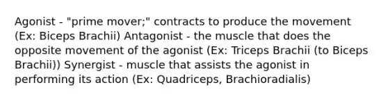 Agonist - "prime mover;" contracts to produce the movement (Ex: Biceps Brachii) Antagonist - the muscle that does the opposite movement of the agonist (Ex: Triceps Brachii (to Biceps Brachii)) Synergist - muscle that assists the agonist in performing its action (Ex: Quadriceps, Brachioradialis)