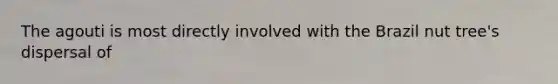 The agouti is most directly involved with the Brazil nut tree's dispersal of