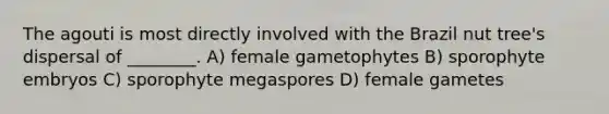 The agouti is most directly involved with the Brazil nut tree's dispersal of ________. A) female gametophytes B) sporophyte embryos C) sporophyte megaspores D) female gametes