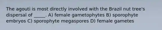 The agouti is most directly involved with the Brazil nut tree's dispersal of _____. A) female gametophytes B) sporophyte embryos C) sporophyte megaspores D) female gametes