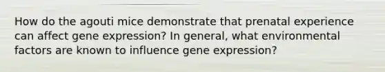 How do the agouti mice demonstrate that prenatal experience can affect gene expression? In general, what environmental factors are known to influence gene expression?