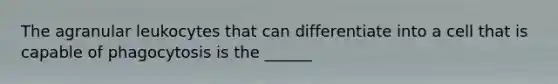 The agranular leukocytes that can differentiate into a cell that is capable of phagocytosis is the ______