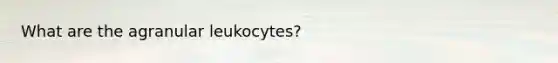 What are the agranular leukocytes?