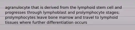 agranulocyte that is derived from the lymphoid stem cell and progresses through lymphoblast and prolymphocyte stages; prolymphocytes leave bone marrow and travel to lymphoid tissues where further differentiation occurs