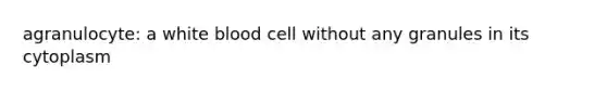 agranulocyte: a white blood cell without any granules in its cytoplasm