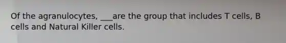 Of the agranulocytes, ___are the group that includes T cells, B cells and Natural Killer cells.