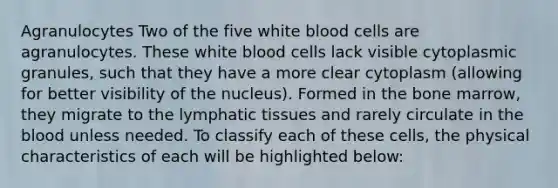 Agranulocytes Two of the five white blood cells are agranulocytes. These white blood cells lack visible cytoplasmic granules, such that they have a more clear cytoplasm (allowing for better visibility of the nucleus). Formed in the bone marrow, they migrate to the lymphatic tissues and rarely circulate in <a href='https://www.questionai.com/knowledge/k7oXMfj7lk-the-blood' class='anchor-knowledge'>the blood</a> unless needed. To classify each of these cells, the physical characteristics of each will be highlighted below: