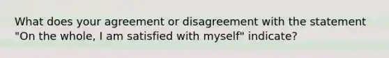 What does your agreement or disagreement with the statement "On the whole, I am satisfied with myself" indicate?