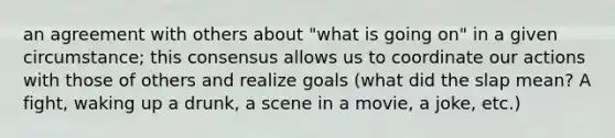 an agreement with others about "what is going on" in a given circumstance; this consensus allows us to coordinate our actions with those of others and realize goals (what did the slap mean? A fight, waking up a drunk, a scene in a movie, a joke, etc.)