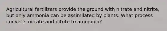 Agricultural fertilizers provide the ground with nitrate and nitrite, but only ammonia can be assimilated by plants. What process converts nitrate and nitrite to ammonia?